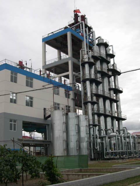 DEC plant